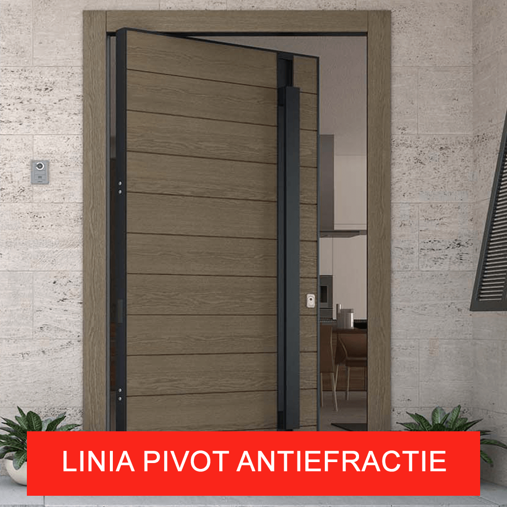  USI EXTERIOR SECURIZATE ANTIEFRACTIE PIVOT